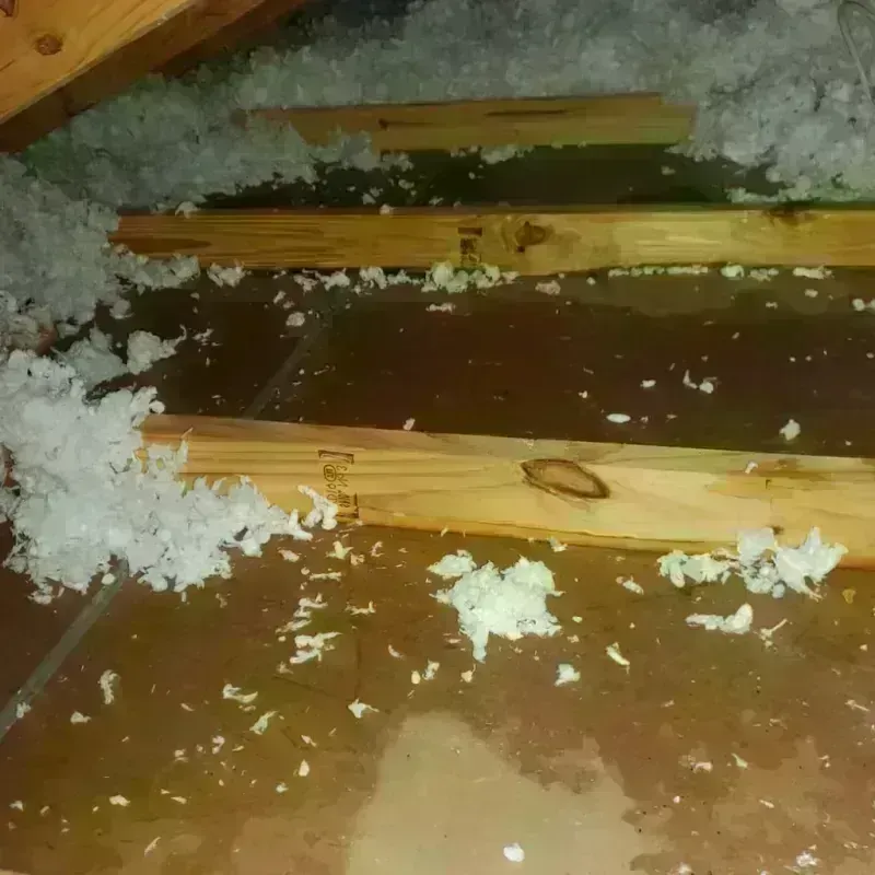 Attic Water Damage in Caddo County, OK