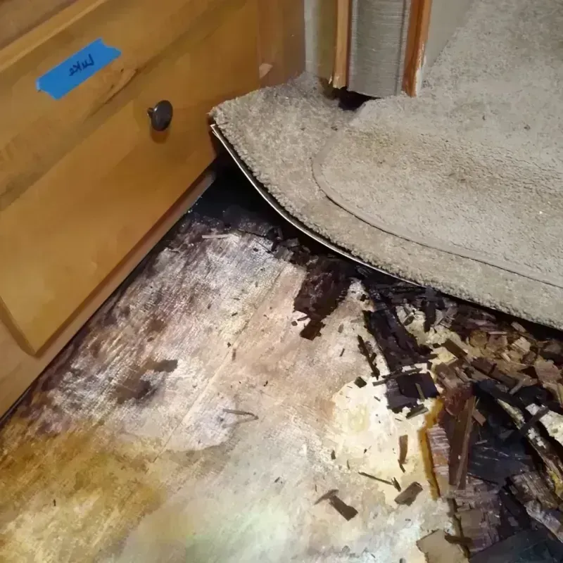 Wood Floor Water Damage in Caddo County, OK